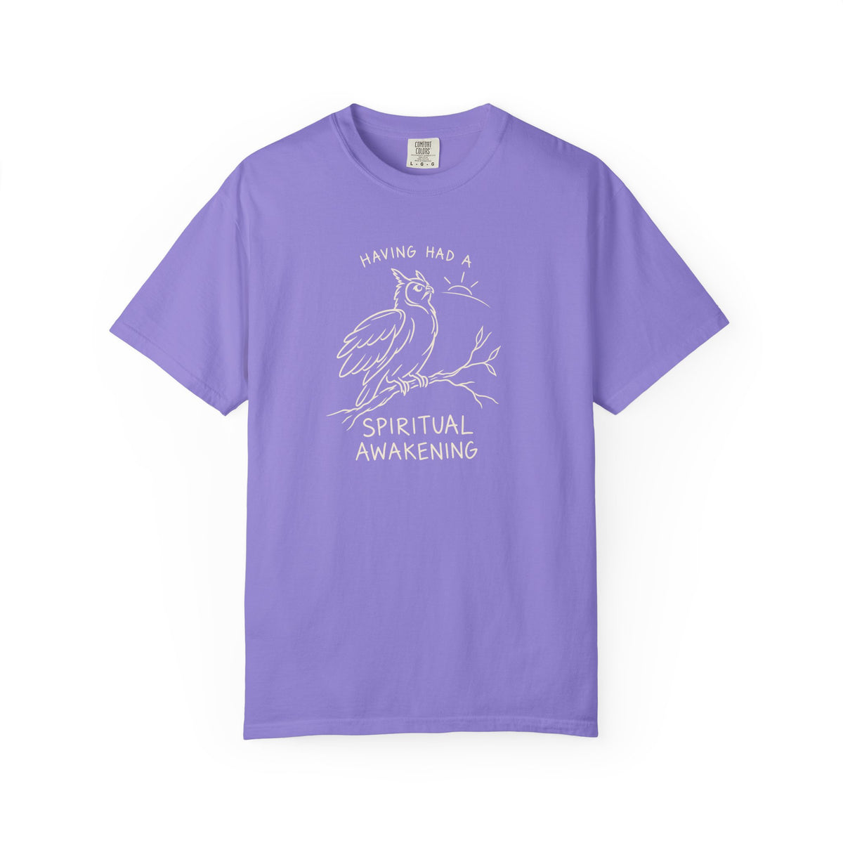 Having Had A Spiritual Awakening (Owl) 12-Step Recovery T-Shirt