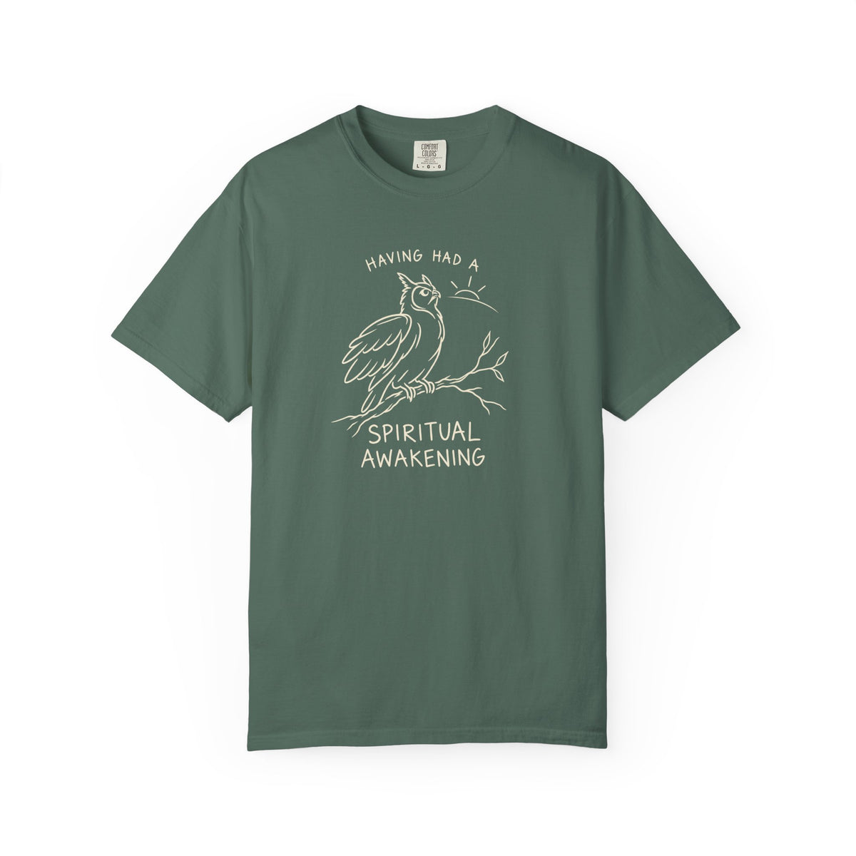 Having Had A Spiritual Awakening (Owl) 12-Step Recovery T-Shirt