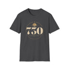 730 Days (2 Years) Of Recovery - Just for Today T‑Shirt
