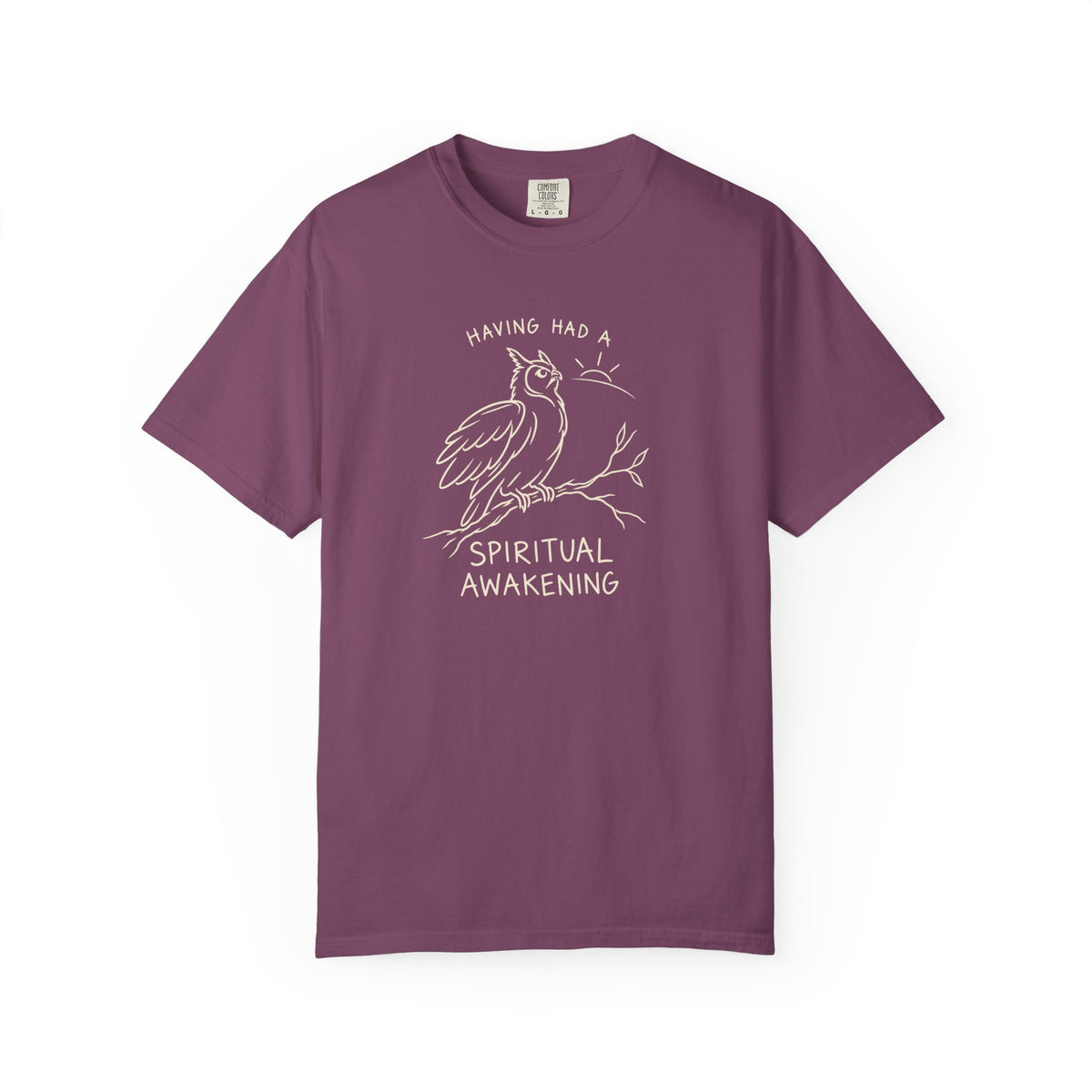 Having Had A Spiritual Awakening (Owl) 12-Step Recovery T-Shirt