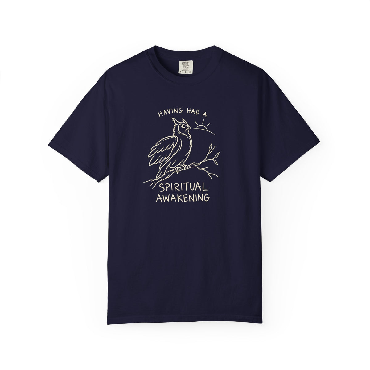 Having Had A Spiritual Awakening (Owl) 12-Step Recovery T-Shirt