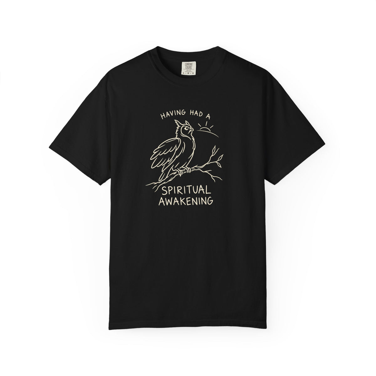 Having Had A Spiritual Awakening (Owl) 12-Step Recovery T-Shirt