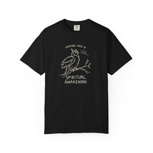 Having Had A Spiritual Awakening (Owl) 12-Step Recovery T-Shirt