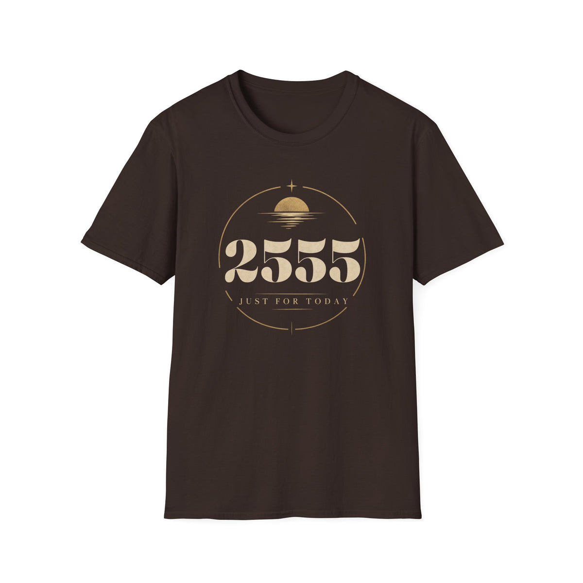 2555 Days (7 Years) of Recovery - Just for Today T-Shirt