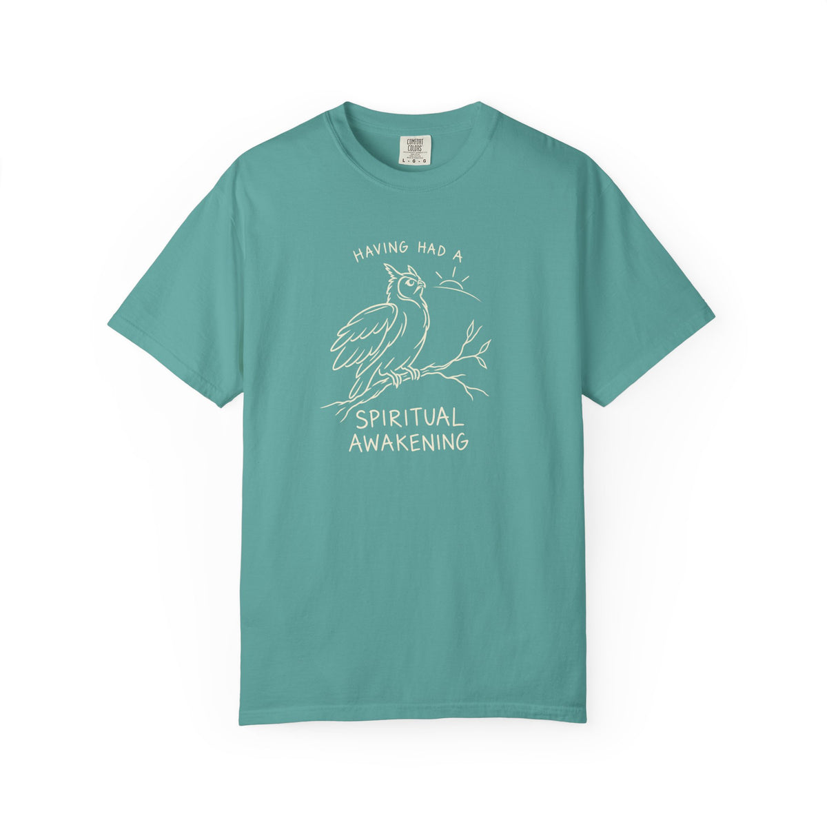 Having Had A Spiritual Awakening (Owl) 12-Step Recovery T-Shirt