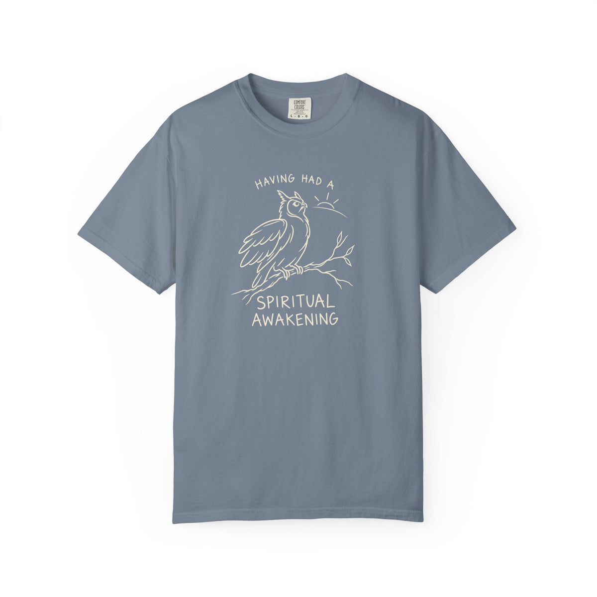 Having Had A Spiritual Awakening (Owl) 12-Step Recovery T-Shirt